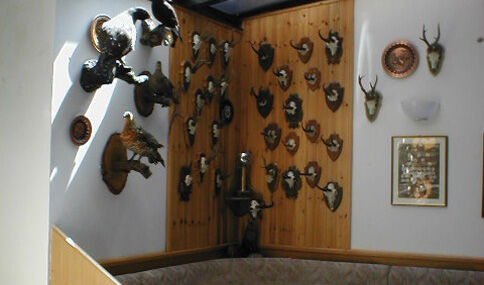 HOTEL DORIA (B&B) Nago-Torbole