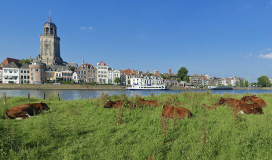 HOTEL HET WAPEN VAN DELDEN Dedemsvaart
