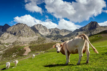 MÀGIC ANDORRA Andorra la Vella